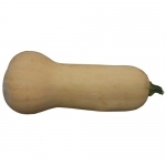 Nutterbutter